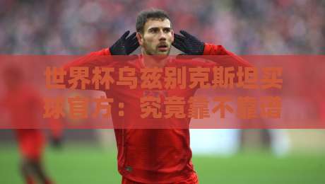 世界杯乌兹别克斯坦买球官方:究竟靠不靠谱?(世界杯乌兹别克斯坦买球官方)
