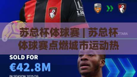 苏总杯体球赛 | 苏总杯体球赛点燃城市运动热情：从组队到观赛的完整参与路径-今日最新外围体球站反波胆链接受让视频半全场动画