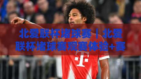 北爱联杯堵球赛｜北爱联杯堵球赛观赛体验+赛程看点与球迷文化，北爱联杯堵球赛现场氛围为何让人着迷-今晚靠谱最火押球网无需注册观看解说让球盘高清技巧