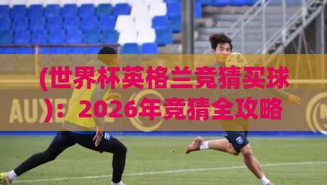 (世界杯英格兰竞猜买球)：2026年竞猜全攻略与避坑指南