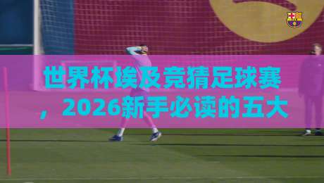 世界杯埃及竞猜足球赛，2026新手必读的五大实战技巧
