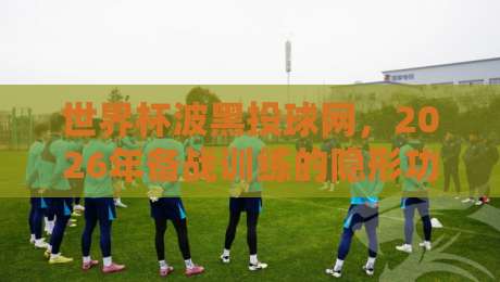 世界杯波黑投球网,2026年备战训练的隐形功臣?