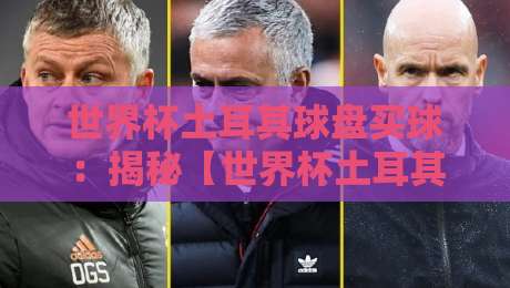 世界杯土耳其球盘买球：揭秘【世界杯土耳其球盘买球】背后的骗局与真相
