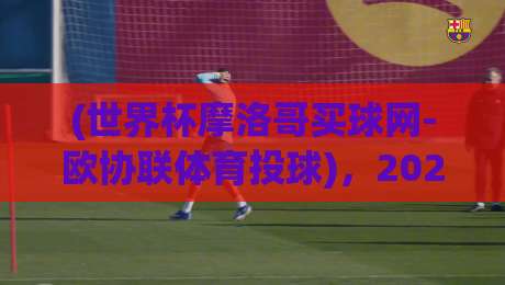 (世界杯摩洛哥买球网-欧协联体育投球),2026年球迷必看:从菜鸟到老司机的投球指南