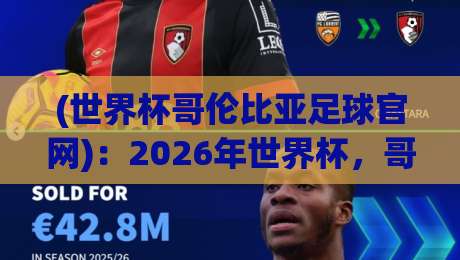 (世界杯哥伦比亚足球官网):2026年世界杯,哥伦比亚球迷必知的五个官网实用功能