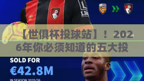 【世俱杯投球站】!2026年你必须知道的五大投注内幕与避坑指南
