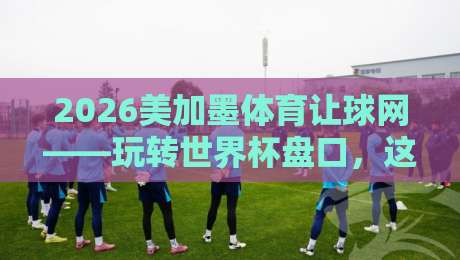 2026美加墨体育让球网——玩转世界杯盘口，这些坑你千万别踩