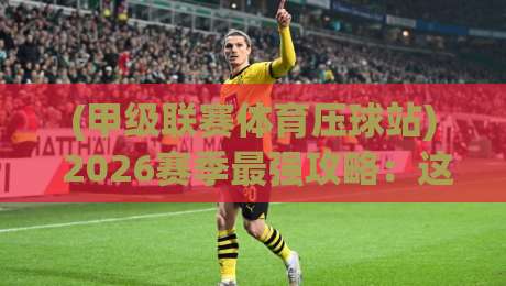 (甲级联赛体育压球站) 2026赛季最强攻略:这3个压球技巧连资深球迷都未必知道!