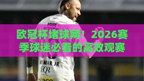 欧冠杯堵球网!2026赛季球迷必看的高效观赛与预测指南