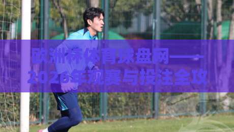 欧洲杯体育球盘网——2026年观赛与投注全攻略(欧洲杯体育球盘网)