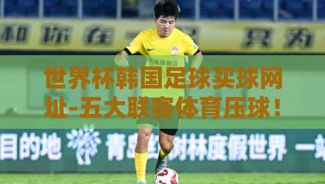 世界杯韩国足球买球网址-五大联赛体育压球！2026年最新观赛与压球指南（世界杯韩国足球买球网址）