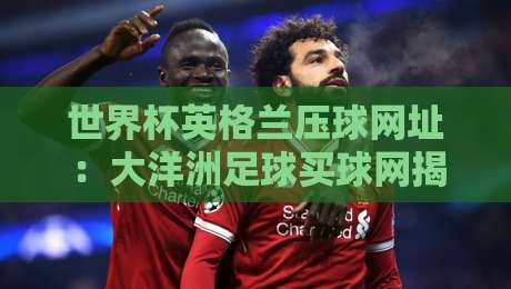 世界杯英格兰压球网址:大洋洲足球买球网揭秘,2026年最新避坑指南