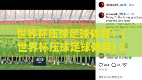 世界杯压球足球体育！(世界杯压球足球体育) 2026年新规与避坑指南