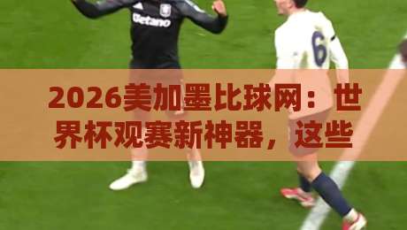 2026美加墨比球网:世界杯观赛新神器,这些细节你绝对没注意