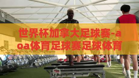 世界杯加拿大足球赛-aoa体育足球赛足球体育:2026年家门口的狂欢,你准备好了吗?