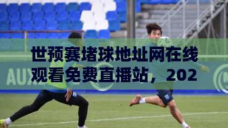 世预赛堵球地址网在线观看免费直播站,2026年球迷必收藏的观赛指南 世预赛堵球地址网在线观看免费直播站,2026年球迷必收藏的观赛指南