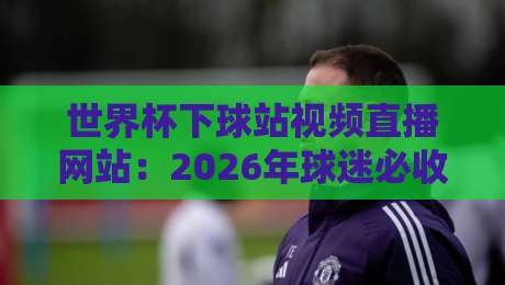 世界杯下球站视频直播网站：2026年球迷必收藏的五大高清观赛平台