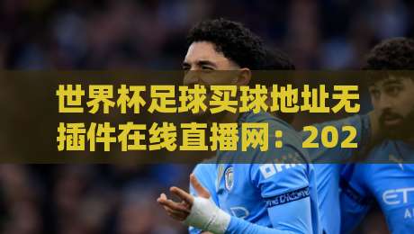 世界杯足球买球地址无插件在线直播网：2026年最全观赛指南，高清无卡顿！
