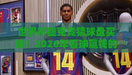 世界杯捷克竞猜球盘买球!2026年看球赢钱的正确姿势