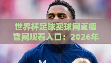 世界杯足球买球网直播官网观看入口：2026年最新观赛攻略与平台实测