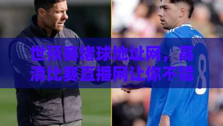 世预赛堵球地址网，高清比赛直播网让你不错过2026关键战