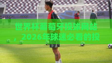 世界杯葡萄牙投球网站,2026年球迷必看的投注攻略与避坑指南